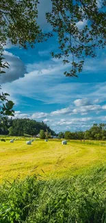 Scenic countryside landscape with blue sky and green fields.