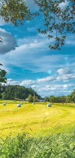 Scenic view of countryside with blue sky and green fields.