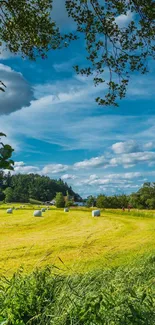 Scenic countryside landscape with fields and vibrant sky.