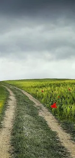 Serene countryside path with cloudy sky and green fields.