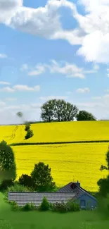 A scenic countryside with vibrant yellow fields under a blue sky.