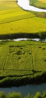 Beautiful green fields and winding river scene wallpaper.