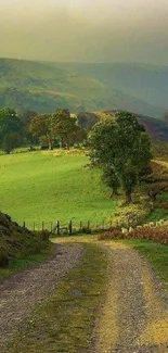 Scenic countryside road with lush green fields and trees.