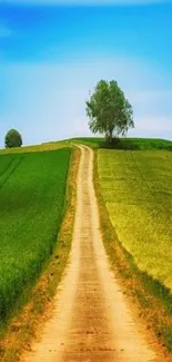 Peaceful countryside road under a blue sky.