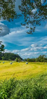 Beautiful scenic view of green fields under a clear blue sky.