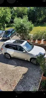 White SUV in a lush, sunlit driveway setting.