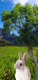 Rabbit under tree in scenic meadow with mountains.