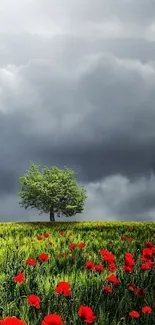 Green field with red poppies and a lone tree under a cloudy sky.