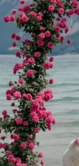White cat by a flower arch at a lake.