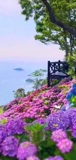 Bench overlooking pink hydrangeas with a serene ocean backdrop.