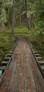 Rustic wooden bridge in a lush forest setting, perfect for mobile wallpaper.