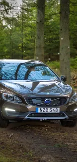 Car parked in a lush forest setting with trees in the background.