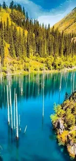 A beautiful forest lake with clear blue water and lush green surroundings.