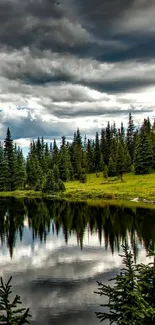 Scenic mobile wallpaper showing a forest lake with reflections.