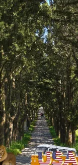 Forest path with bus, lion, and USA in trees.