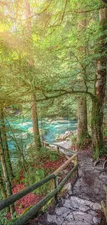 Scenic forest pathway with lush greenery and sunlight filtering through the trees.