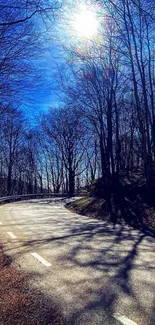 Beautiful sunlit road through a forest with clear blue sky.