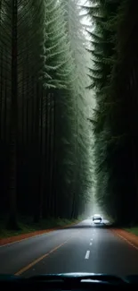 A car drives through a lush forest on a scenic road, viewed from inside another vehicle.