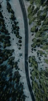 Aerial view of a winding road through a dense dark green forest.