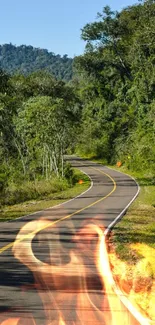 Winding road through lush green forest with a clear blue sky backdrop.