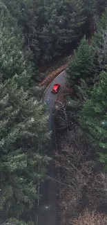 Aerial view of a winding road through a dense green forest with a red car.