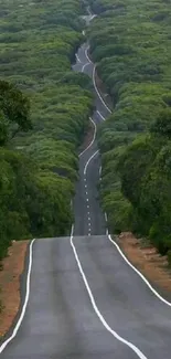 Mobile wallpaper of a winding road through lush green forests.