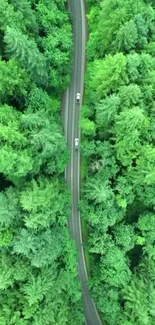 Aerial view of a winding road through lush green forest.