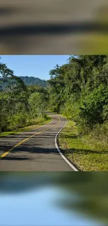 Winding road through lush green forest scenery.