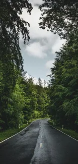 Scenic road through lush green forest under cloudy sky.