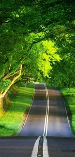 Scenic road through lush green forest with sunlight filtering through leaves.