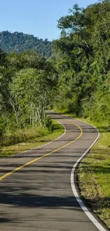 Scenic winding road through lush green forest landscape.