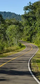 Scenic winding road through lush forest landscape.