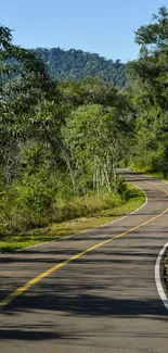 Winding road through lush green forest landscape.