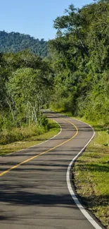 A scenic road winding through a lush green forest with clear blue skies.