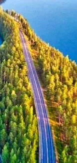 A scenic road winding through a lush forest beside a tranquil blue lake.