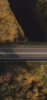 Aerial view of a road cutting through a vibrant autumn forest scene.