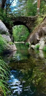 Scenic view of stone bridge over a forest river.