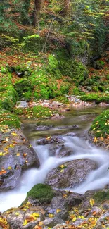 Tranquil forest stream with vibrant autumn colors, lush moss, and flowing water.