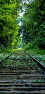 A serene path of train tracks through a lush green forest.