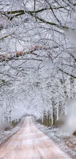 Snowy path with frosted trees in a serene winter landscape.