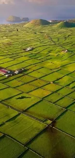 Aerial view of lush green fields with distant hills, perfect for mobile wallpaper.