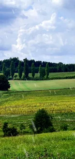 Scenic fields under a cloudy sky wallpaper.