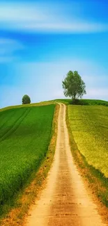 Scenic pathway through lush green hills under a vivid blue sky.