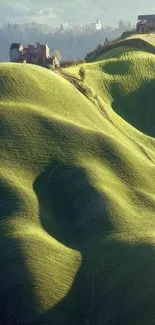 Rolling green hills under a clear sky.