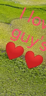 Aerial view of green landscape with 'I love you' message and heart emojis.