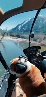 Dog in helicopter overlooking snowy mountain and river.