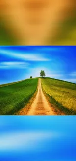 A scenic hill pathway leading under a vivid blue sky, perfect for mobile wallpaper.