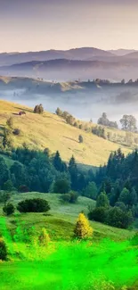 Scenic view of green hills at sunset as mobile wallpaper.