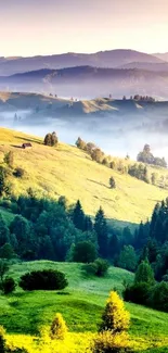 Serene hillside landscape with green fields and misty mountains.