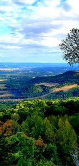 Solitary tree on a scenic hilltop with vibrant greenery and expansive sky.